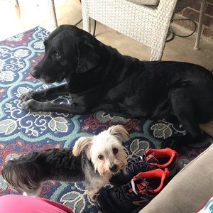 Meet your Posher, Lori